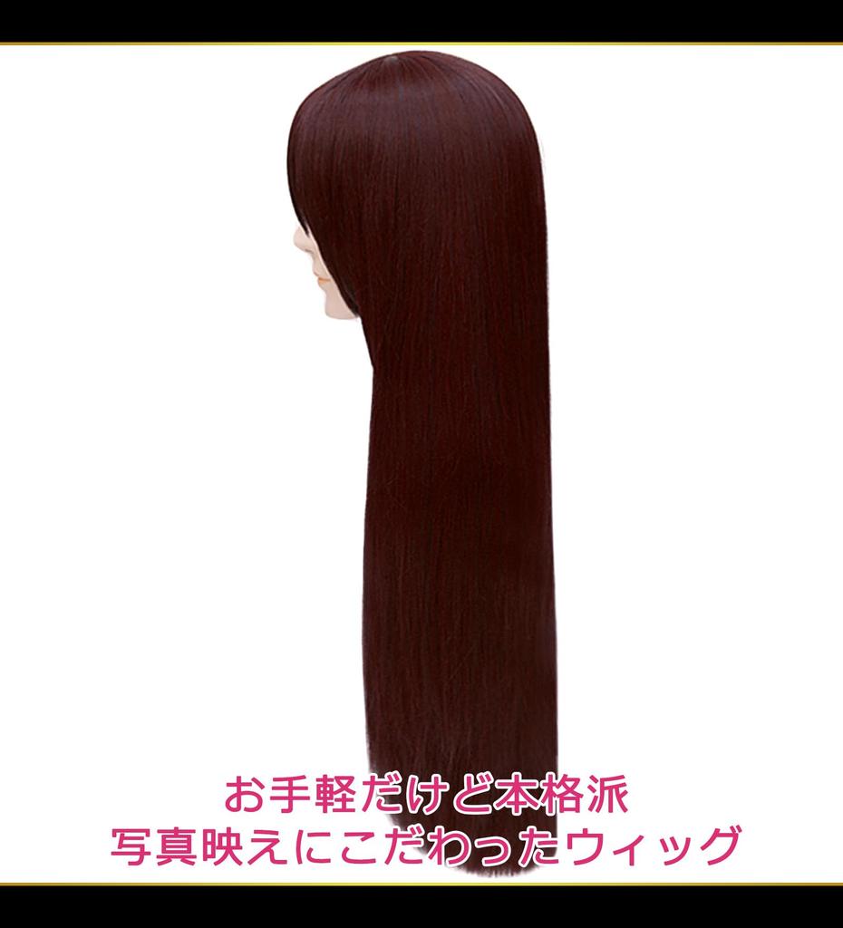 CaseEden Cosplay Wig, Premium Smooth Long 80cm Heat-Resistant Dark Brown (WIG6180)