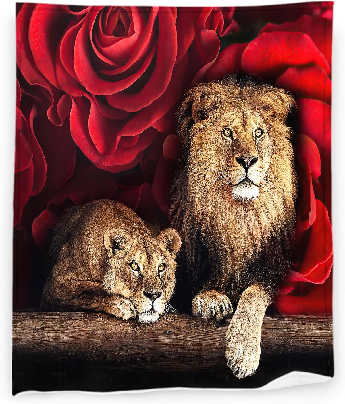 

African Lion Blanket Fleece Flannel Throw Blanket Soft Cozy Lightweight Blankets for Adults Teen Home Decor for Sofa Couch Bed 75x90cm