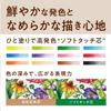 Tombow Colored 12 Hexagonal Wood Grain Kraft Paper Pencils, "Ki Monogatari" Series, Colors, Barrel, Finish, Packaging, CQ-KS12C