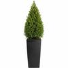 Donica Porto Riflo Czarna H75X39,6X39,6 Cm