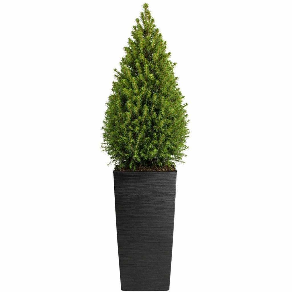 Donica Porto Riflo Czarna H75X39,6X39,6 Cm