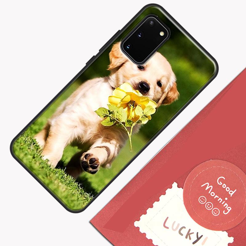 Golden Retriever Hund Handyhülle Für Samsung Galaxy S24 S26 Ultra S20 S21 S22 S23 S25 Plus S10 S25 FE Hülle Schale