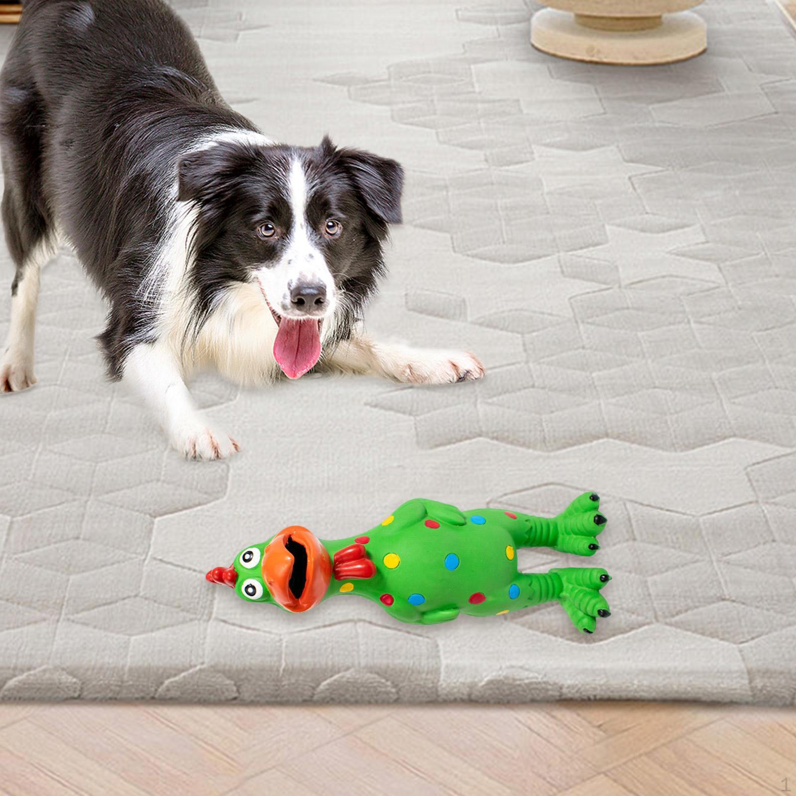 

Игрушка для жевания собак из латекса, курица, пляжные игры, семейная игра, новинка для детей и взрослых, укус на заднем дворе