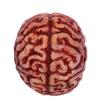 Halloween Brain Hat Funny Realistic Headwear Costume Accessory