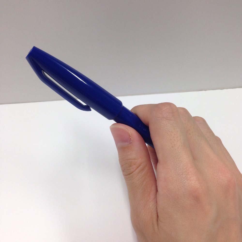 Japanese Product Pentel Water-Based Sign Pen S520-CD Blue 10-Piece Set