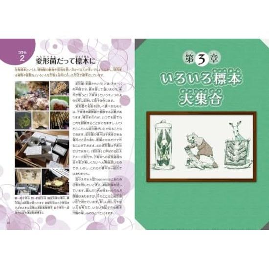 Interesting Specimen Laboratory From Creating Familiar Bone Specimens Secrets Exhibitions (Manabukk)