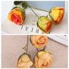 Clearance: 10% Off 3-Head Burned Rose Artificial Flowers | INS Style Home & Wedding Decor