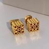 Luo Family High-End Luxury Small Metal Earrings - Unique Exquisite Design