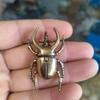 5pcs Solid Brass Realistic Beetle Tea Pet Antique Insect Figurine For Tea Ceremony Table Decor Home Display Gift For Collectors