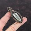 Orthoceras Fossil Pendant Copper Wire Wrapped Pendant Gemstone Pendant Copper Jewelry Unique Design Pendant Handmade Jewelry Gift For Women