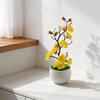 No Watering Required Plum Blossom Bonsai No Sunlight Needed