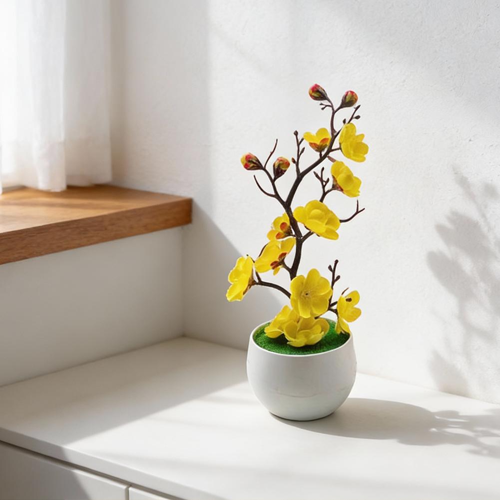 No Watering Required Plum Blossom Bonsai No Sunlight Needed