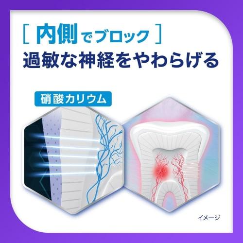 [Bulk Purchase of 2] Shumitect Night Care Medicated Toothpaste, Low Abrasive, 30g x 2 Bottles