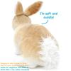 VIAHART Tale Ridley Rabbit Plush Realistic Pet Cute Bunny Japanese [Tiger Toys] Toy, 11-inch (27cm) Rabbit, [Official Product]
