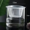 Hydroponic Glass Cylinder Vase for Pothos & Peace Lily - Transparent Water Culture Container with Free Shipping.