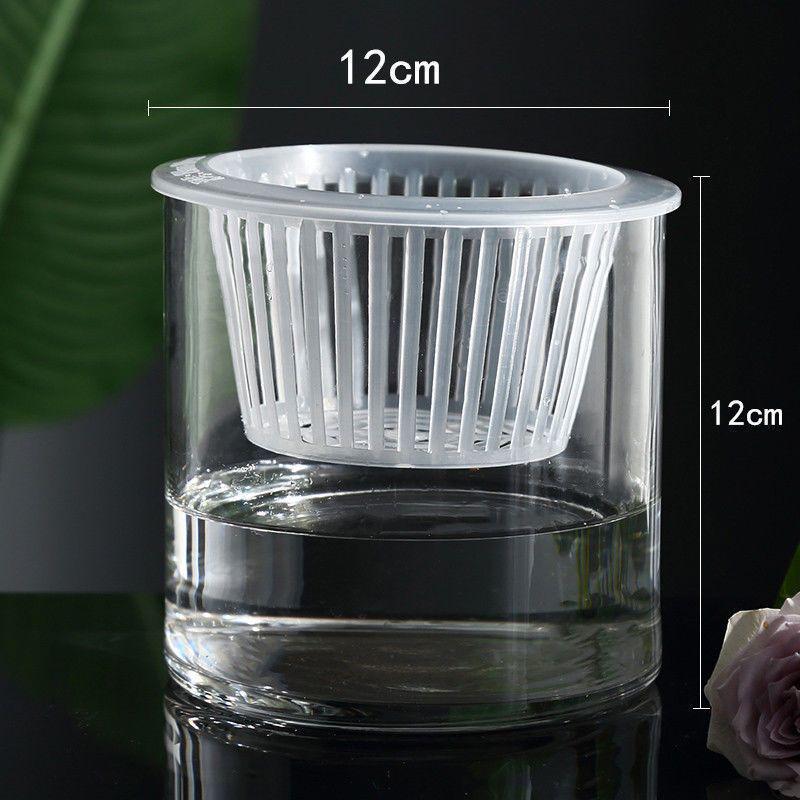 Hydroponic Glass Cylinder Vase for Pothos & Peace Lily - Transparent Water Culture Container with Free Shipping.