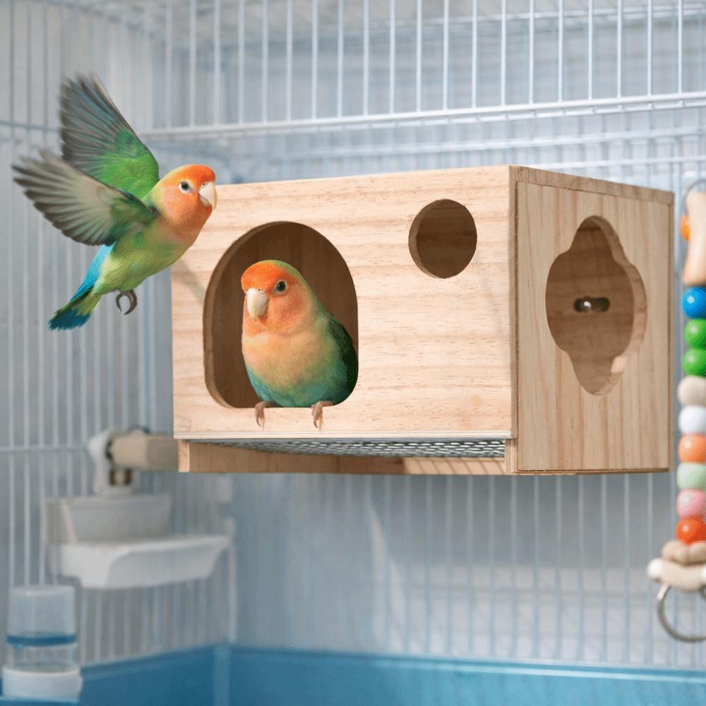 Grande Cage d'Élevage de Perroquets Respirante Boîte de Reproduction de Perroquets Maison d'Oiseaux en Bois Élevage de Perroquets