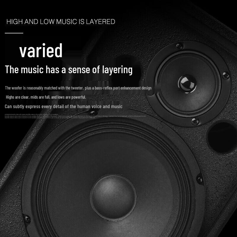 KAXISAIER S80S 8-inch Conference Speaker