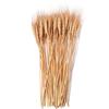 50 ks DIY Řemeslné Suché Pšeničné Klasy Přírodní Sušené Květiny Sušené Pšeničné Stébla Vánoční Dekorace