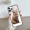 Fox Animal Pattern Phone Case For iPhone 17 Air 14 15 16 13 12 Cover For Apple 14 15 16 Pro Max Plus Coque