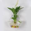 Hydroponics Plants Wall Planter Plant Holder Transparent Glass Plant Pot  for Home Office Decor