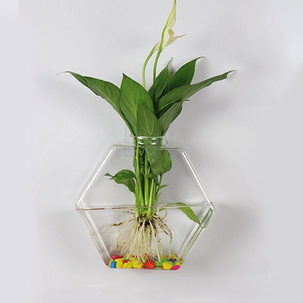 Hydroponics Plants Wall Planter Plant Holder Transparent Glass Plant Pot  for Home Office Decor
