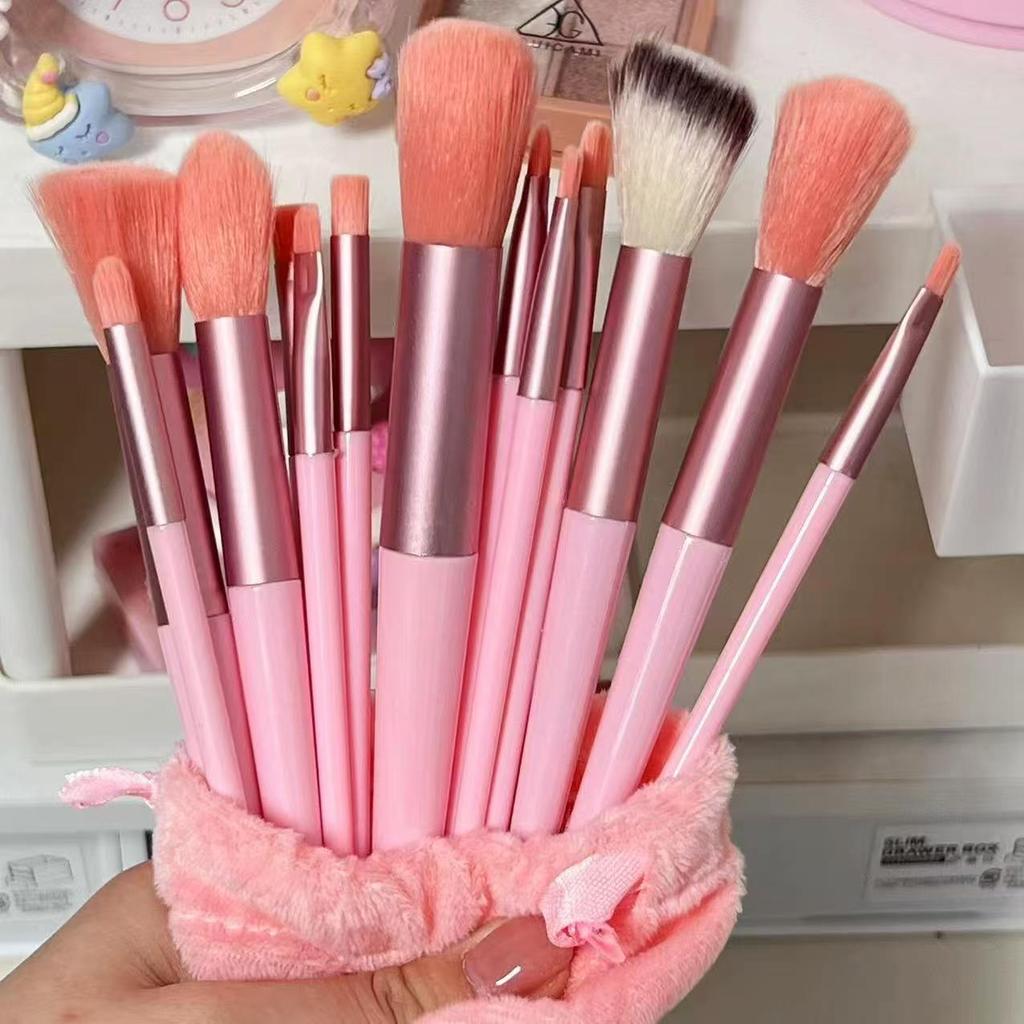 Portable 13-Piece Makeup Brush Set: Powder, Blush, Eyeshadow Brushes with Soft Bristles for Beginners