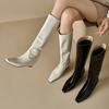 New Women's High Boots 2025 Popular Slope Heel High Heels Pointed European and American Autumn and Winter Fashion Boots Women