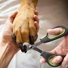 Pet Nail Clippers for Cats and Dogs with Safety Guard and Ergonomic Handle Designed for Precise Nail Trimming and Comfortable Grip