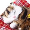 Brand Latest Simulation Animal Doll Plush Sleeping Cats Toy Featuring Cushion Can Speak Out featuring Sound Children Gift Idea Stuffed Desk Ornament