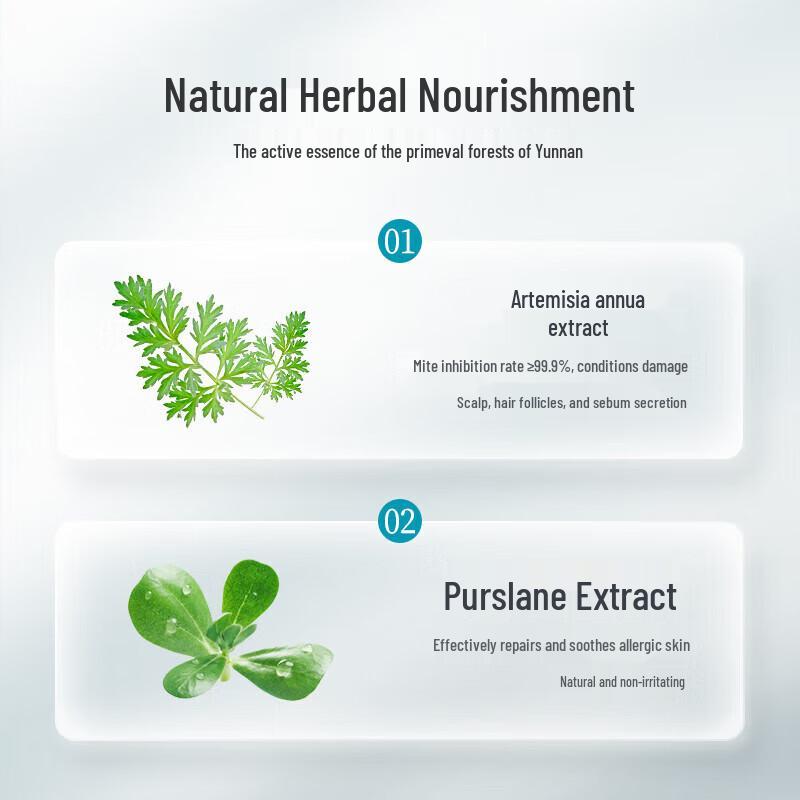 Conquer Anti-Dandruff Refreshing Shampoo