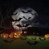 Halloween DIY Flying Bats Stickers Reusable Scary Spider Window Decoration 3D Bats Windows Stickers for Indoor Decor