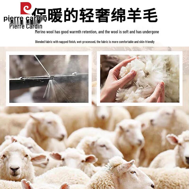 Pierre Cardin Men's Wide-Leg Windproof Casual Sweatpants