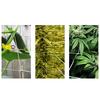 Nylon Netting Garden Climbing Plant Net Fence Green Support Plant Climbing Net