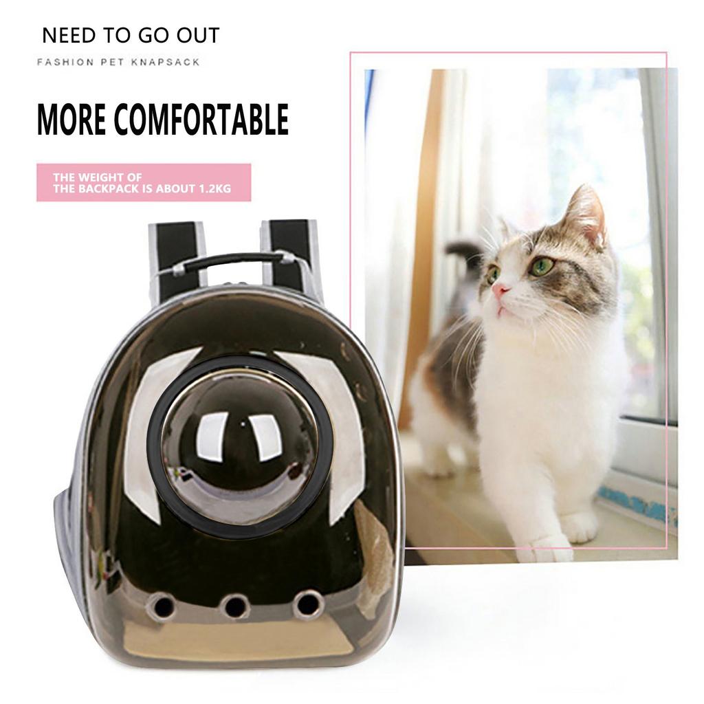 small pet backpack