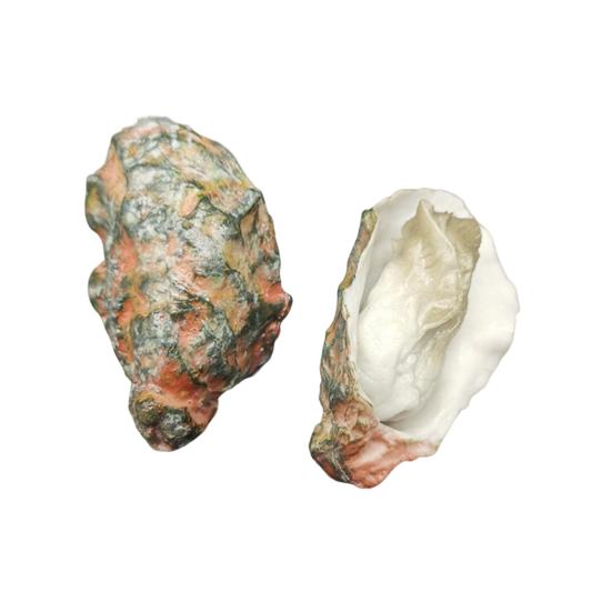 

Барбекю Модель Устрицы Реалистичная Водная Сцена Морепродуктов Макет Сделай Сам Ювелирные Аксессуары Украшение ПВХ Симуляция Гребешка Еда Детская Обучающая Игрушка