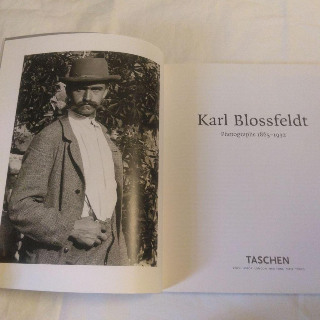 [USED] Karl Blossfeldt:Photographs1865-1932