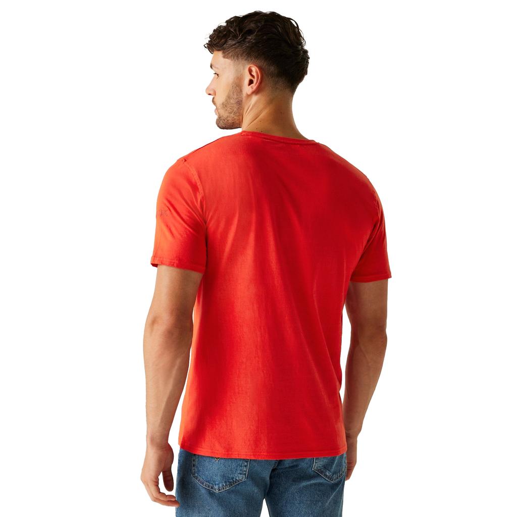 Regatta Herren Cline IX Cooles Sommer-T-Shirt