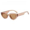 Cat Eye Design Sunglasses Women New Fashion Party Hip-Hop Decorated Sunglasses for Men Popular Brand Design Eyewear