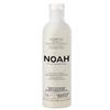 Anti-Yellow Shampoo With Blueberry Extract For Blonde And Gray Hair