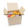 900PCS Car Body Metal Snap Fasteners Kit