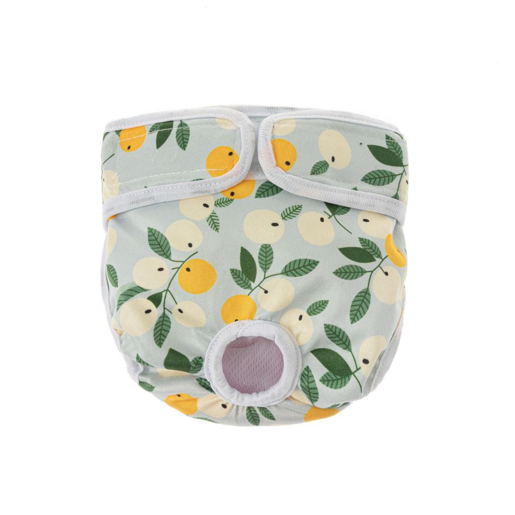 New Spring and Summer, Puppy Cat Physiology Pants Pet Physiology Pants Puppy Physiology Pants