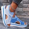 Fashion 2024 Summer New Women Sandals Round Toe Platform Sole Mesh Single Women Shoes Casual Fashion Blue Butterfly Plus Size Sandals