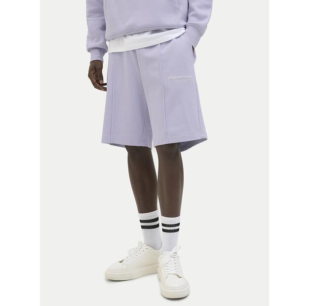 

Спортивные шорты Jack & Jones Vesterbro EU XL