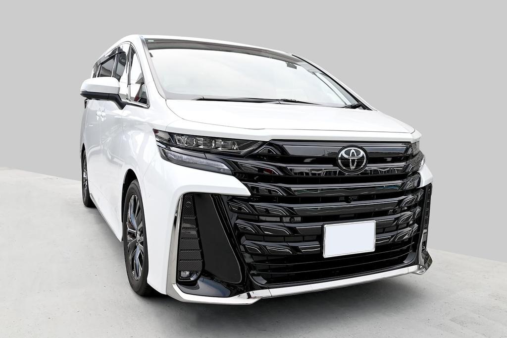 SecondStage Digital Carbon Fiber Fog Lamp Garnish for Toyota Vellfire 40 Series (T788DCB)
