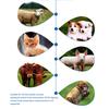 Pet Dog Cat Ear Digital Thermometers Animal Measuring Non-Contact Electronic Highly Accurate For Home and Clinic Use