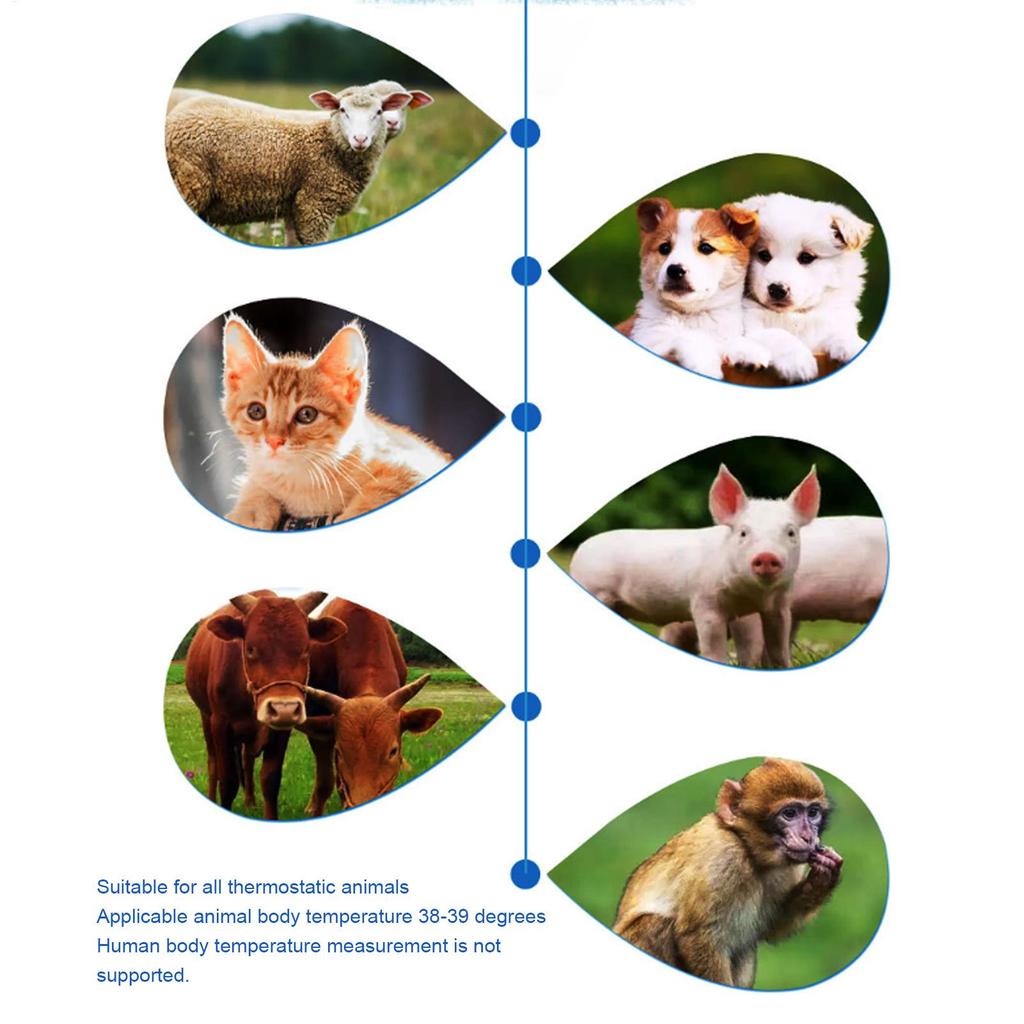 Pet Dog Cat Ear Digital Thermometers Animal Measuring Non-Contact Electronic Highly Accurate For Home and Clinic Use