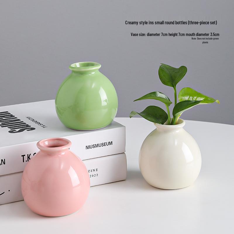 Small Ceramic Desktop Hydroponic Vase for Pothos - Simple Decorative Ornament for Office