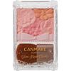 Polvo Canmake Glow Fleur Cheeks 03 Fairy Orange Fleur 6,3 g Artículo individual 03 Fairy Orange Fleur
