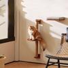 High-Quality Wall-Mounted Cat Scratching Furniture  With Cat Climbing Perches Hammock Wall Steps For Sleeping And Playing